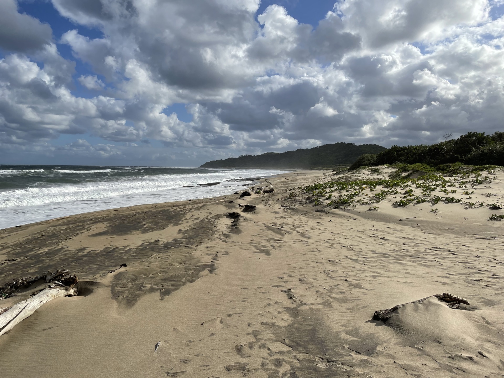 Geschützt: Wild Coast